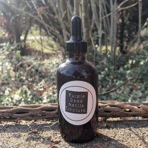 Purple Dead Nettle Tincture